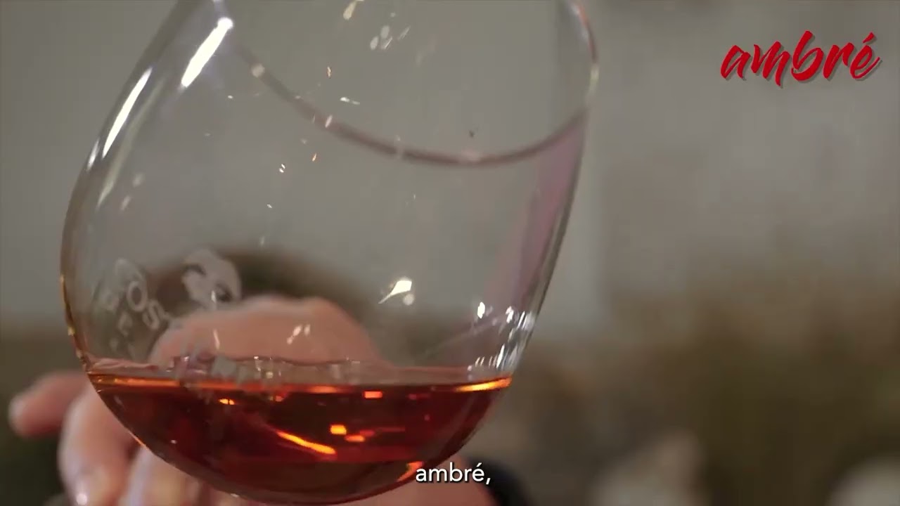 Connexion Vignobles : Une Diversité source de richesses