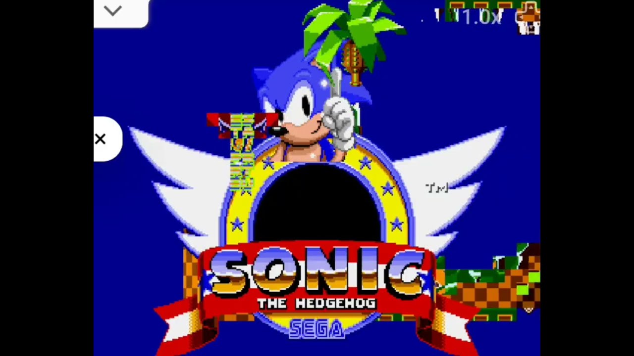 Sonic the hedgehog temu edition