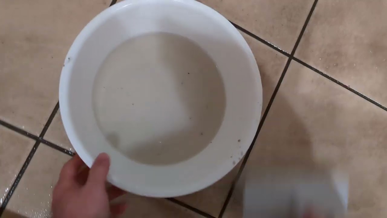 Quiet Entrance Tile Cleaning Routine #1 | Time to Restore