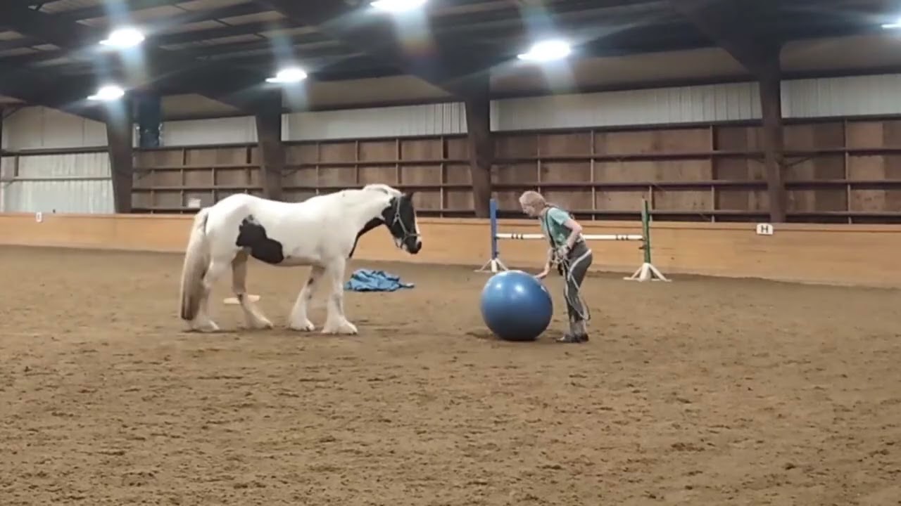 Valentine - 2026 Highlight Reel