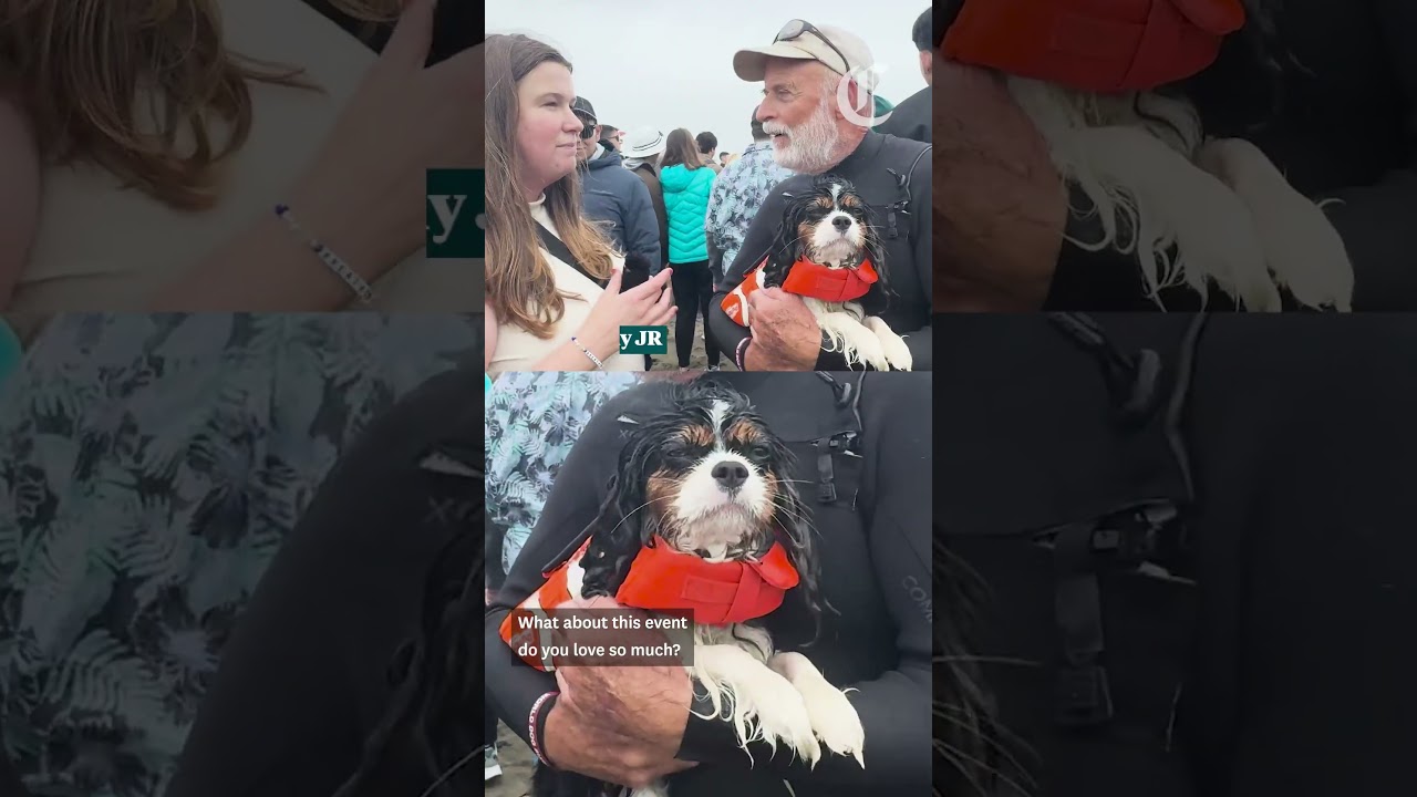 The World Dog Surfing Championship returns to Pacifica's 'ruff' waves