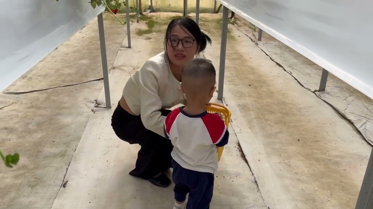 DL Puppy farm vườn rau củ 202502