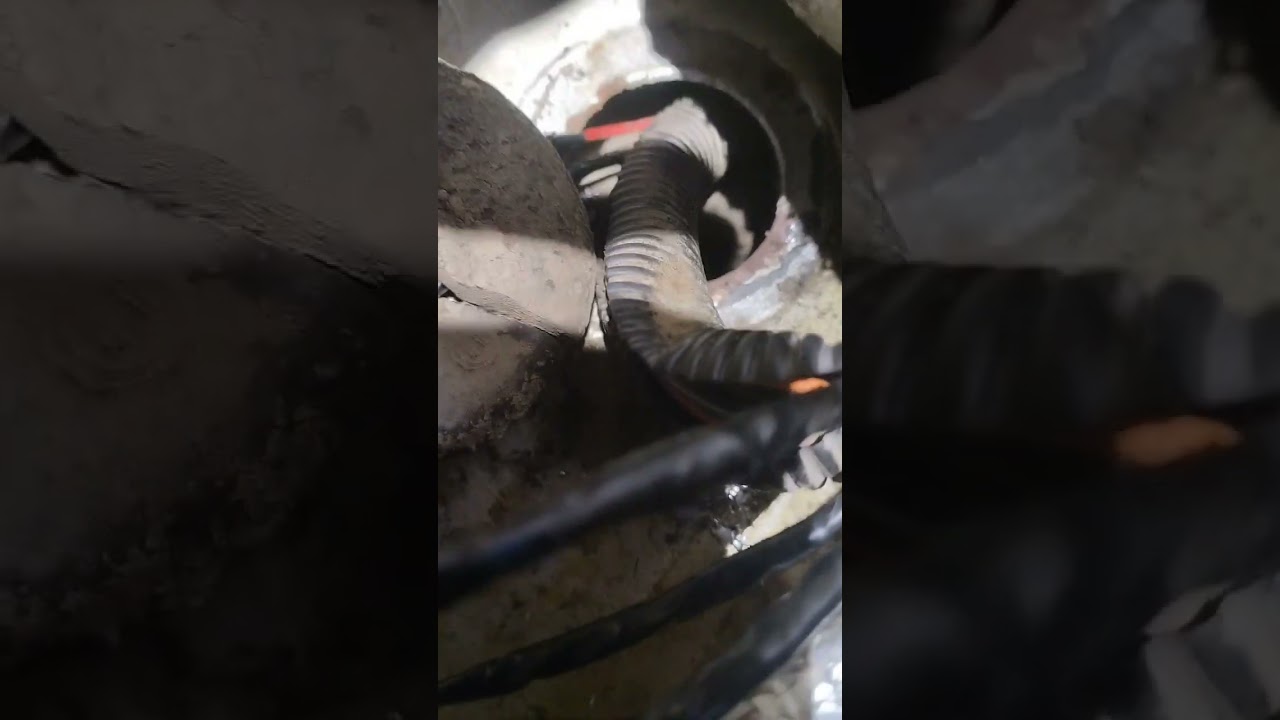 если на уаз патриот не работает спидометр и не светятся фонари заднего хода.