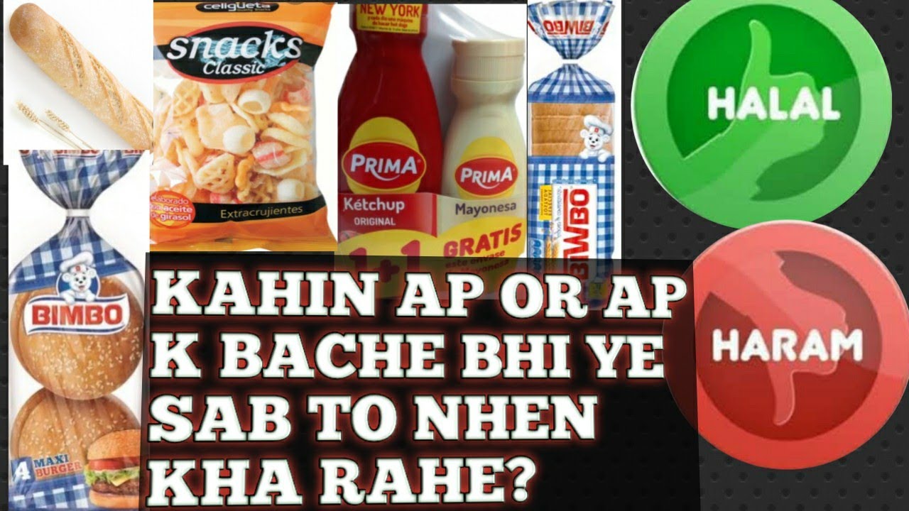 How To Identify  HALAL and HARAM  Food Codes || HALAL Aor HARAM Food Ecodes Ki Pehchan Kese Kren