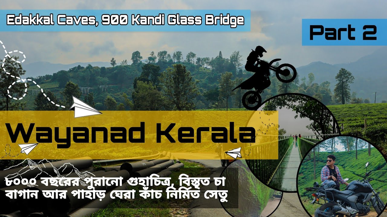 Wayanad Kerala | Part 2 | Edakkal Caves | Tea Estates | 900 Kandi Glass Bridge | #kerala #wayanad