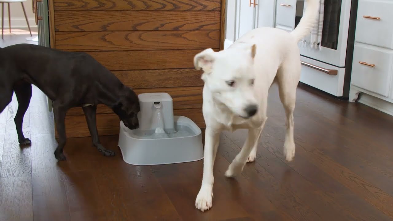 Drinkwell&reg; 7.5 Litre Pet Fountain