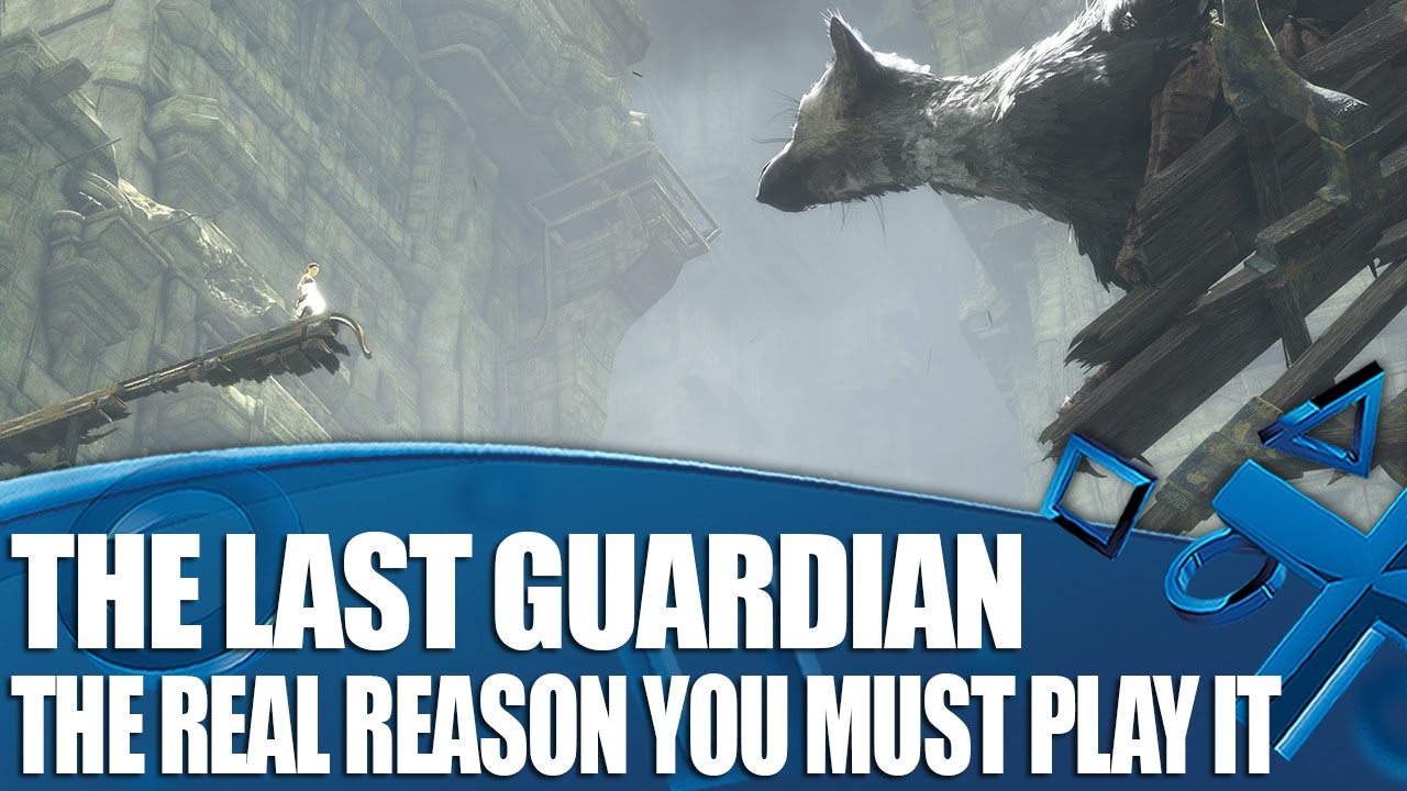 The Real Reason You Must Play The Last Guardian