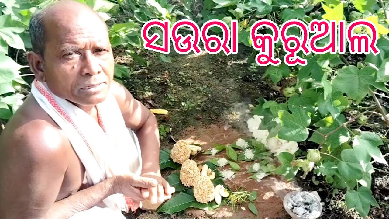 soura cultural kurual fastival in dasmantapur village full video ସଉରା ଜନଜାତିଙ୍କର ପୂଜା କୁରୁଆଲ ଭିଡିଓ
