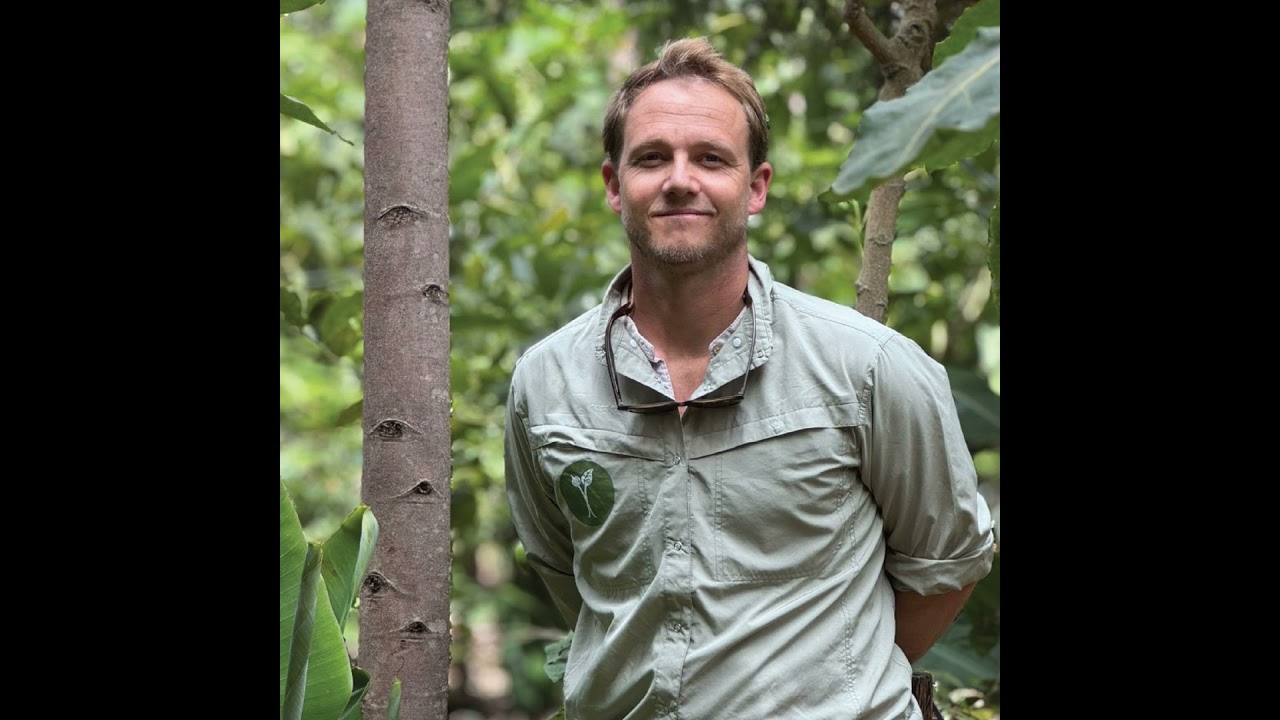 The Business Case for Syntropic Farming: 2.5 Hectares, 115k in Revenue (Forest Foods Kenya)