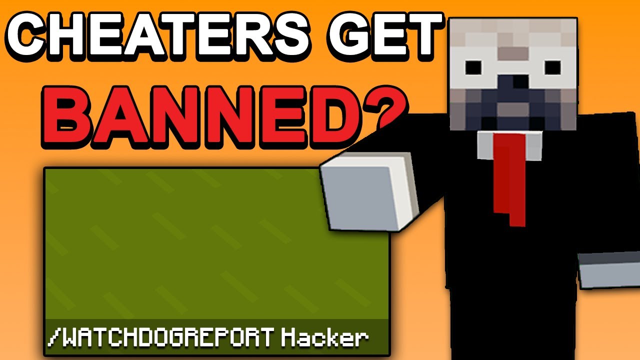 Do Cheaters Get Banned? | Skyblock Questions | Hypixel Skyblock
