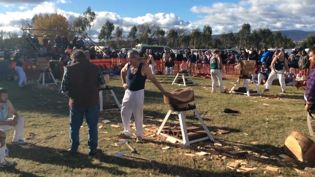 Woodchopping 600mm Standing Butchers Block Tasmanian Championship Campbell Town  