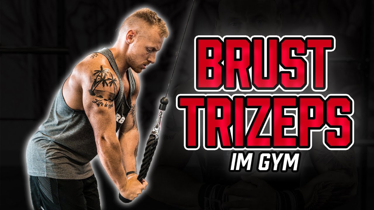 PUSH DAY im Gym | Trainingsplan für Brust, Schulter und Trizeps im Fitnessstudio (Muskelaufbau)