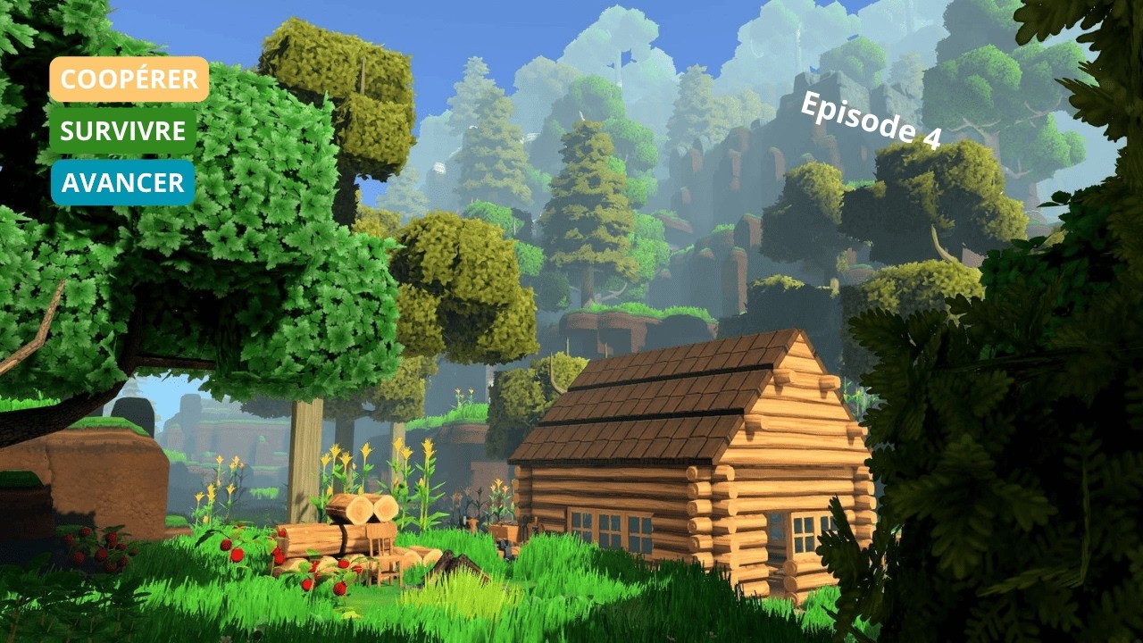 ECO #4 - Coopérer, survivre et avancer dans le temps OBJECTIF MAISON!!!
