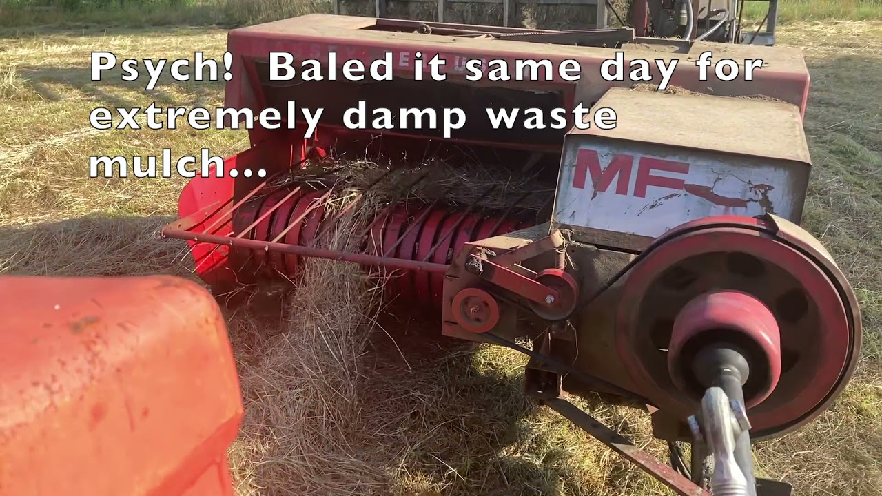Haying 2021 - July thru Aug 16