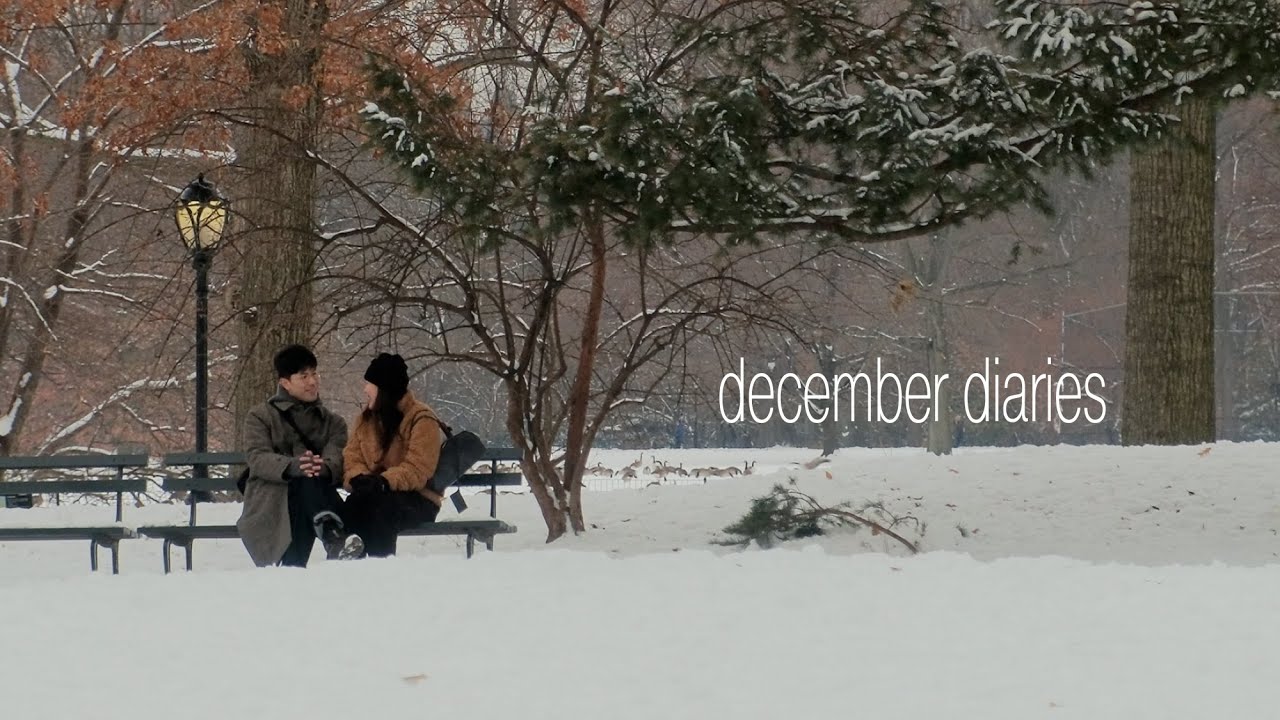 2025년의 마지막. 눈 내리는 뉴욕의 slow december