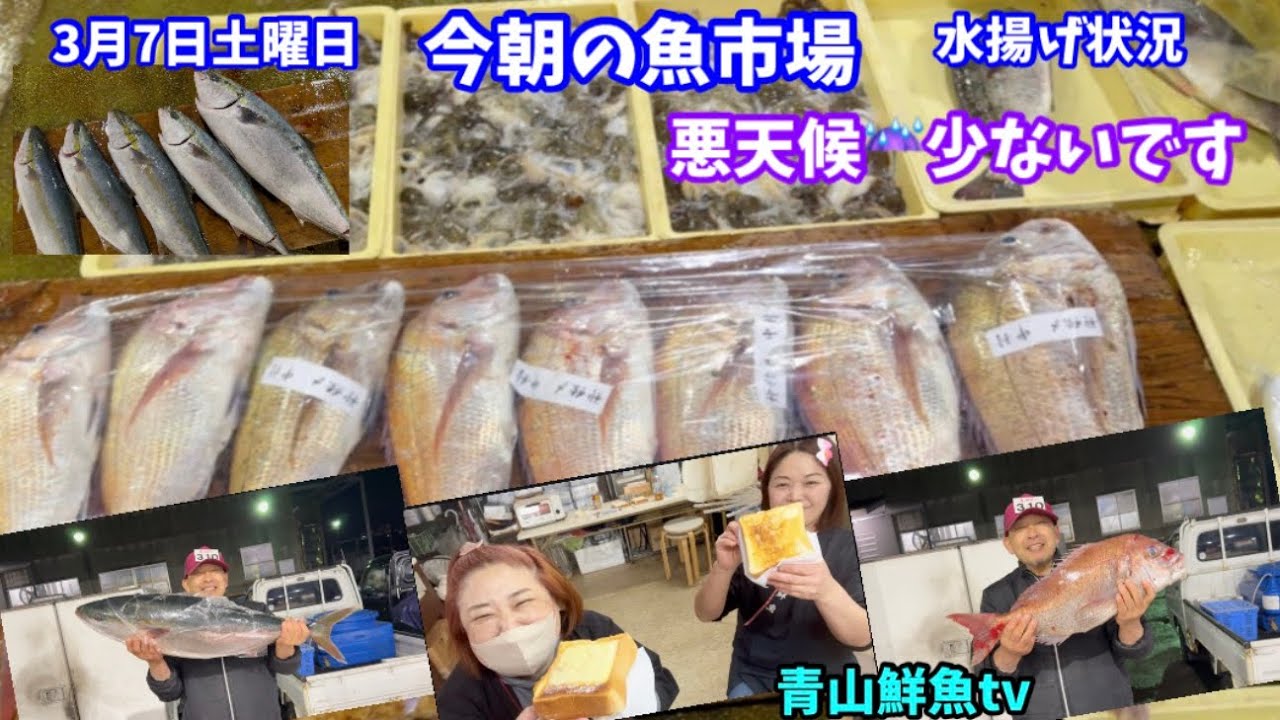【悪天候☔️少】今朝の魚市場3月7日土曜日の水揚げ状況