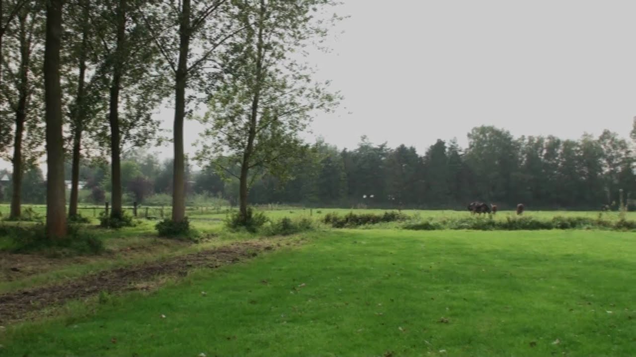 '1 Minuut Over Kwijtraken'