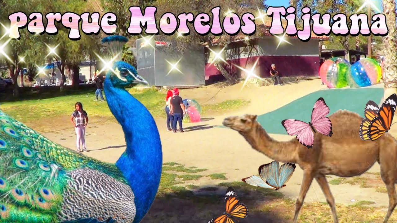 Parque Morelos Tijuana, Baja California  / zoológico Tijuana B.C