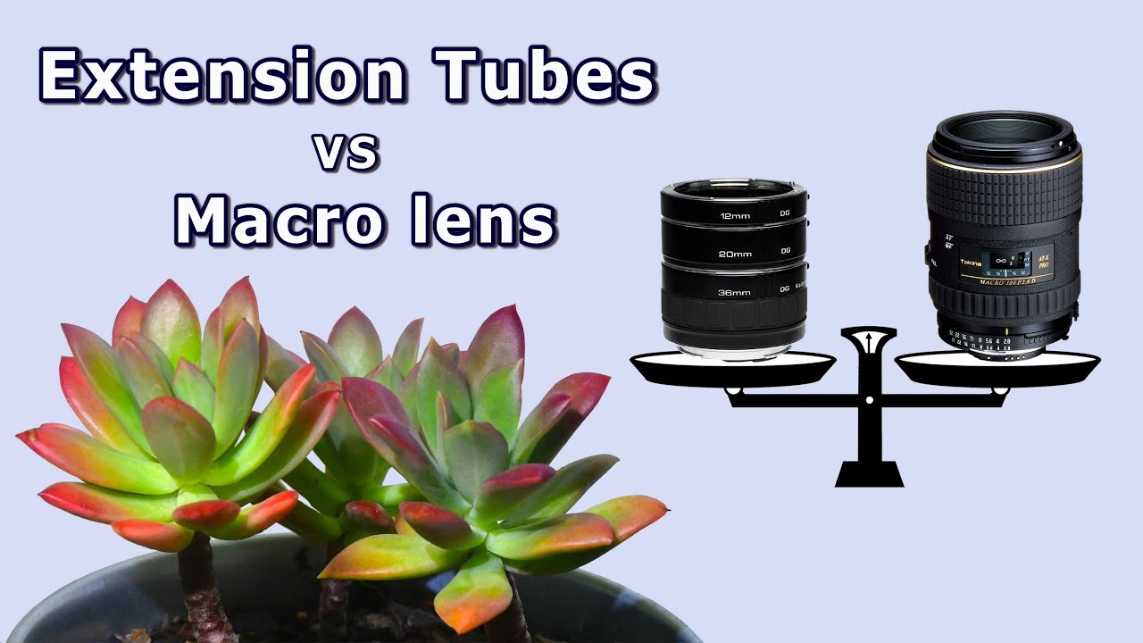 Macro Extension Tubes Versus Macro Lens!