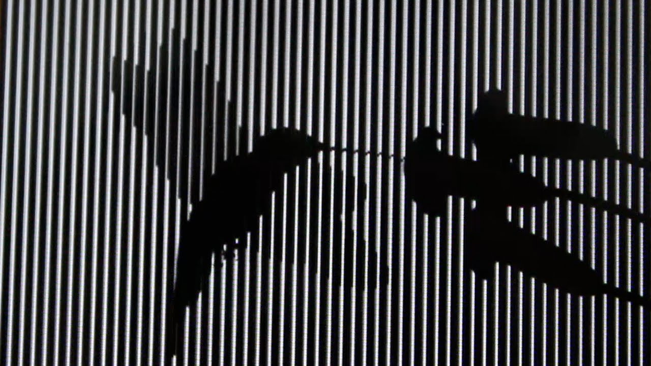 Amazing Animated Optical Illusions