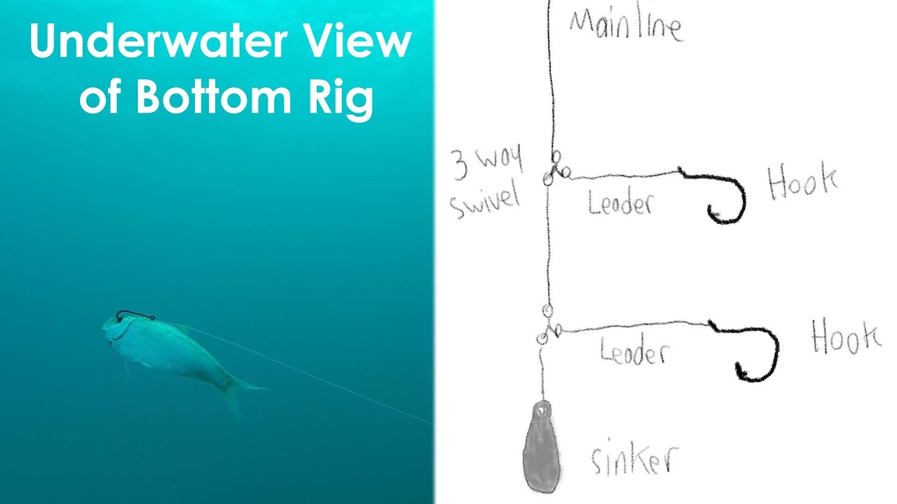 Underwater Look of Sliding Egg Sinker Fishing Rig versus Knocker Fishing Rig