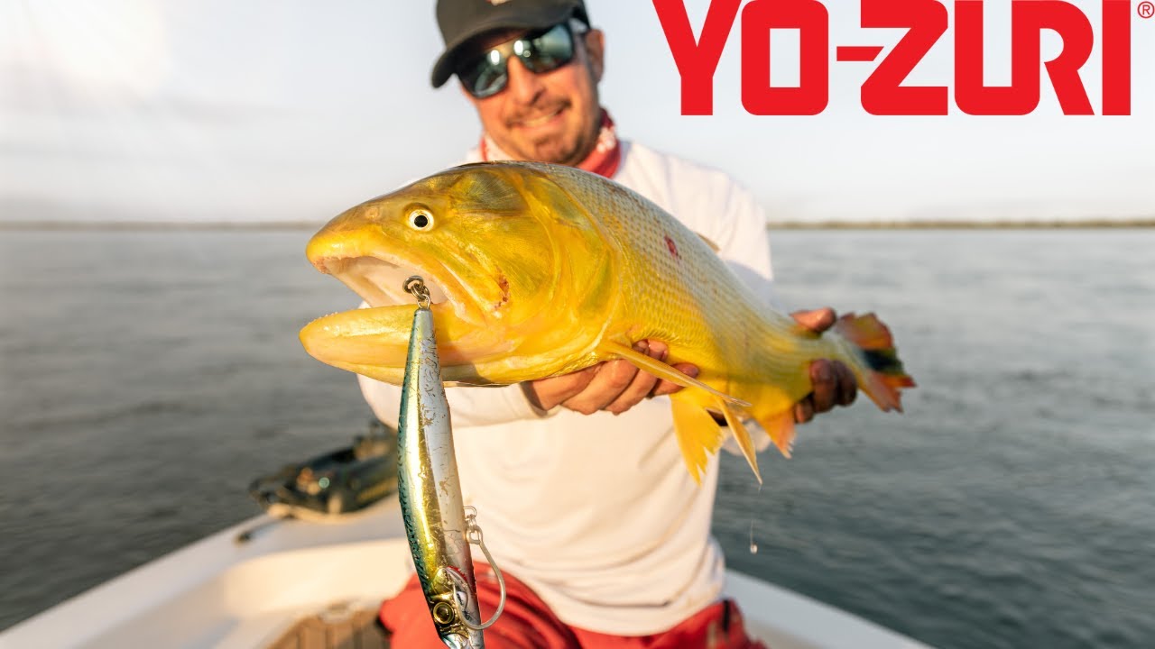 Fishing For Golden Dorado!