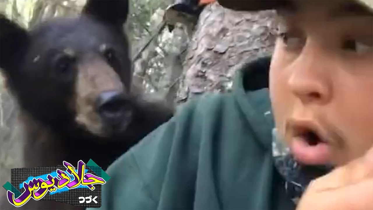 أخطـر مواجهات مع الحيوانات (الجزء 1 )