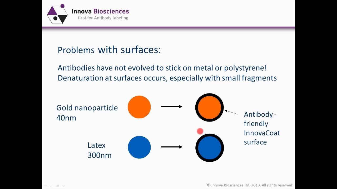 Immunoassay Optimization Webinar: Maximizing immunoassay sensitivity with smart conjugate design