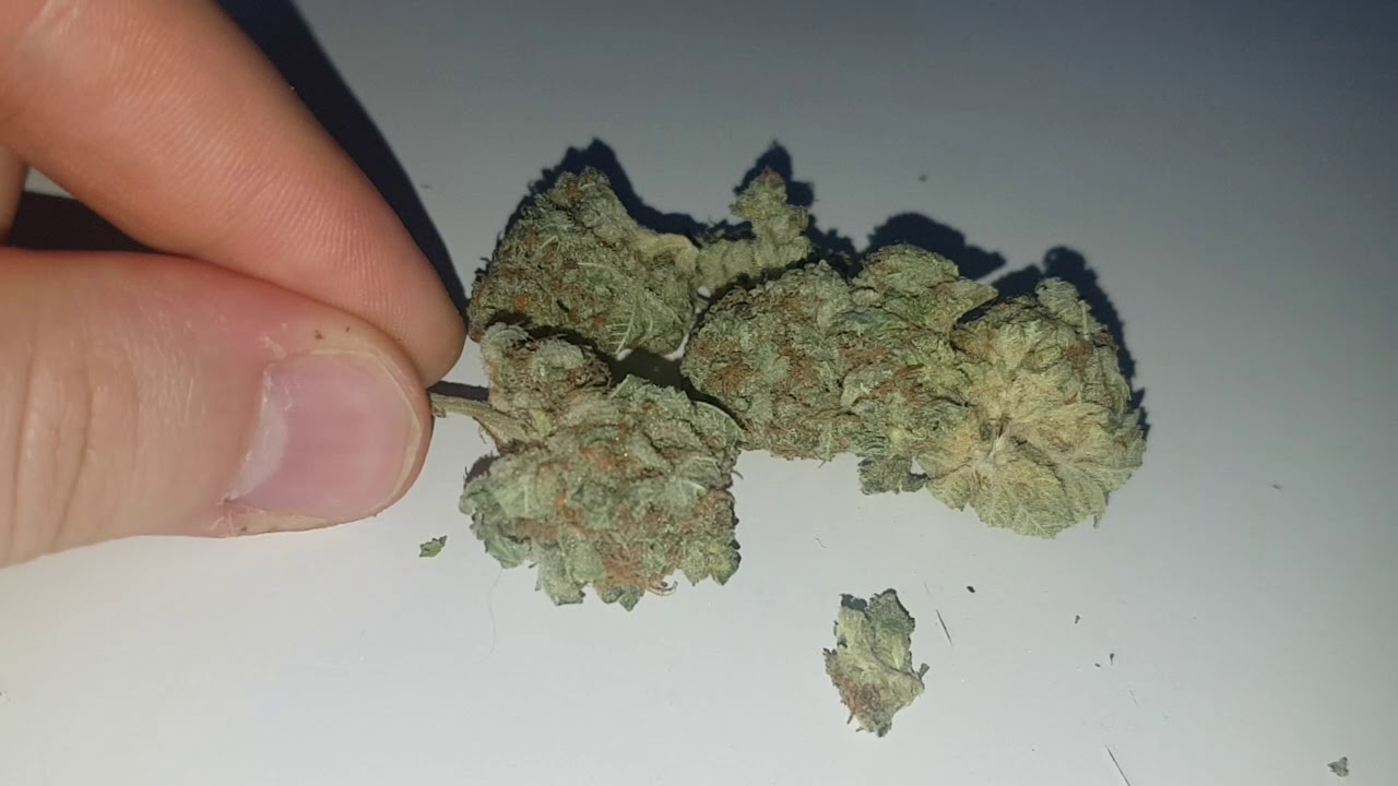 STRAIN REVIEW 005: white kush AAA - Budgetgreens