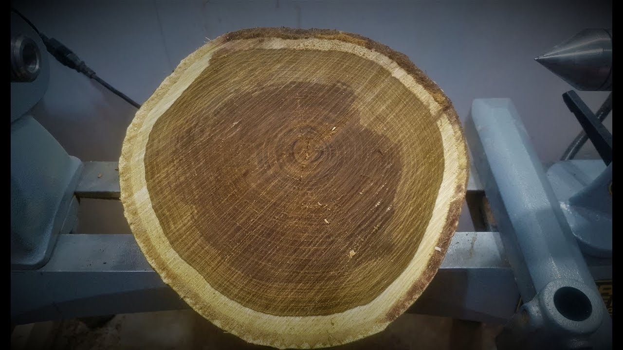 Woodturning - Laburnum natural edge!