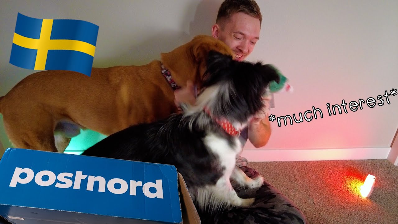 Care Package Unboxing From Sweden!!! (A Christmas Video)