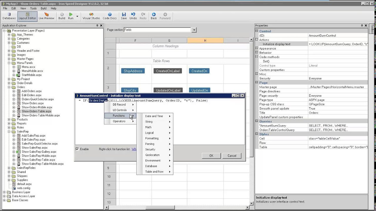 Conditionally Display a Field - Iron Speed Designer V12.0