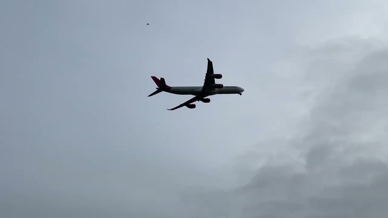 European Cargo A340-600 // Shannon Airport