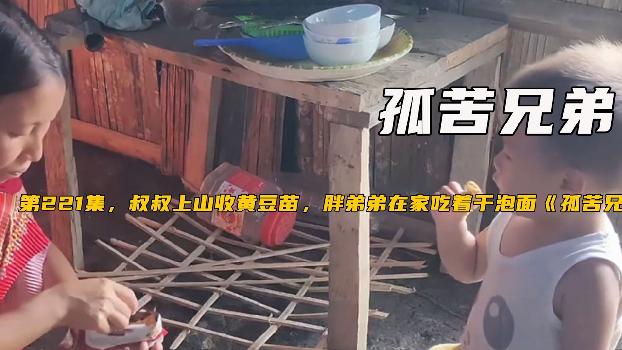 第221集，叔叔上山收黃豆苗，胖弟弟在家吃著幹泡面《孤苦兄弟》