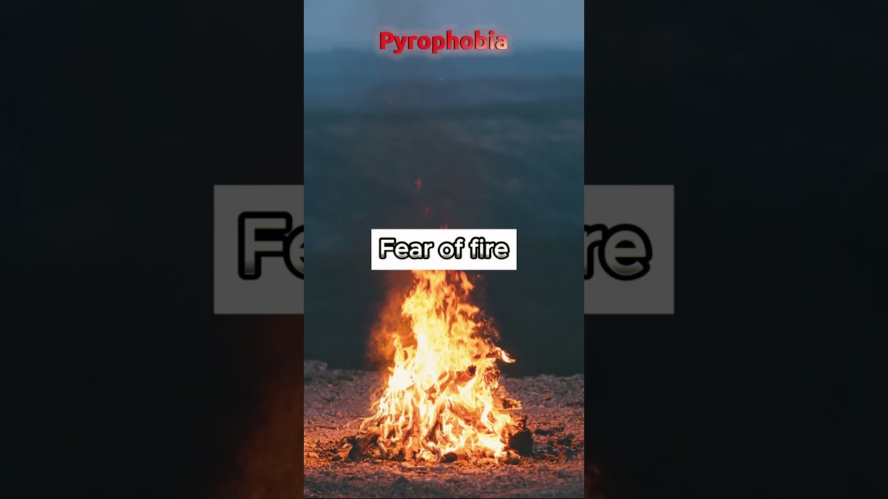 The worst phobias that exist