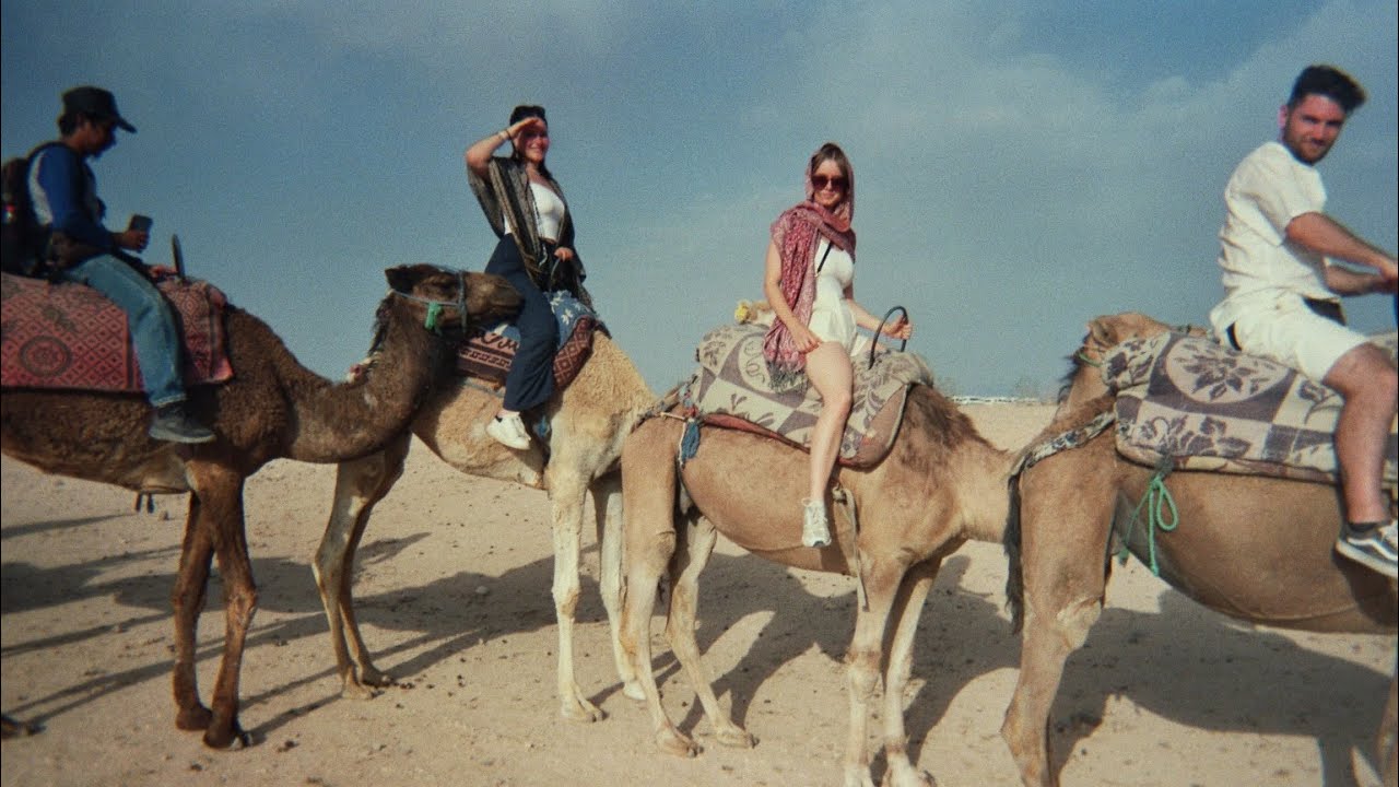 Wir sind nach AFRIKA geflogen🐫✈️