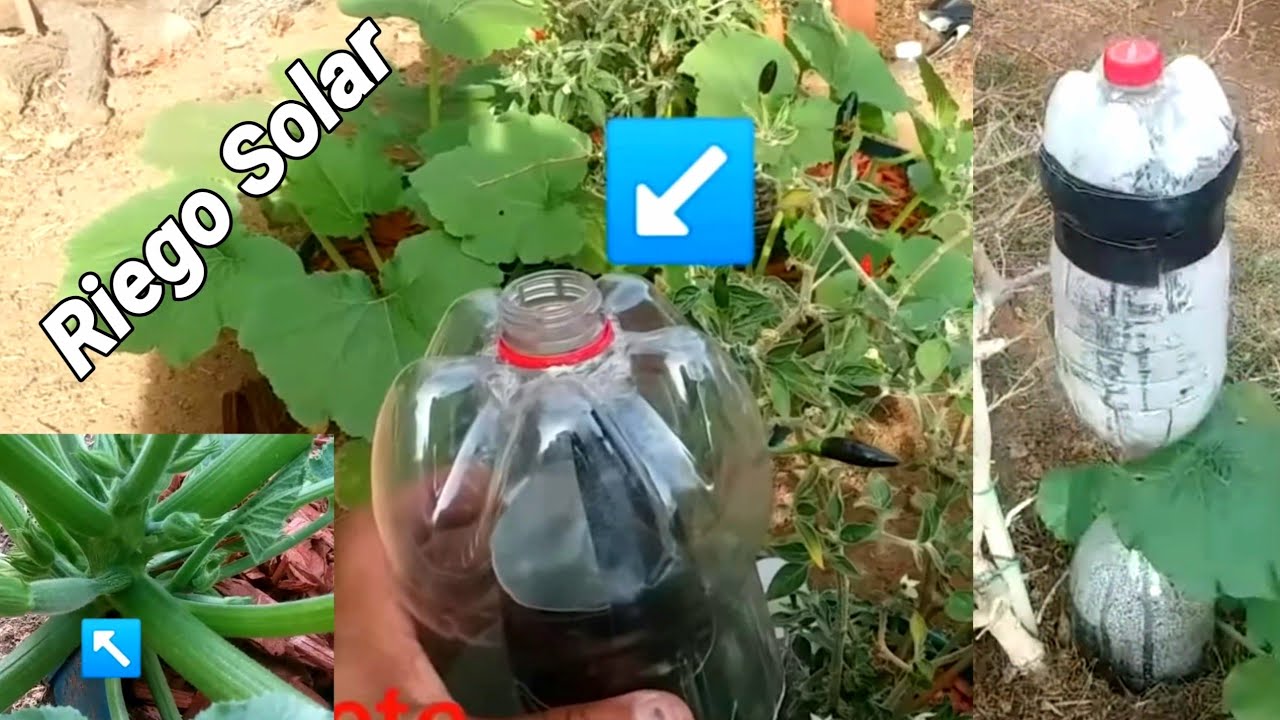 Riego solar ahorra mucha agua al año