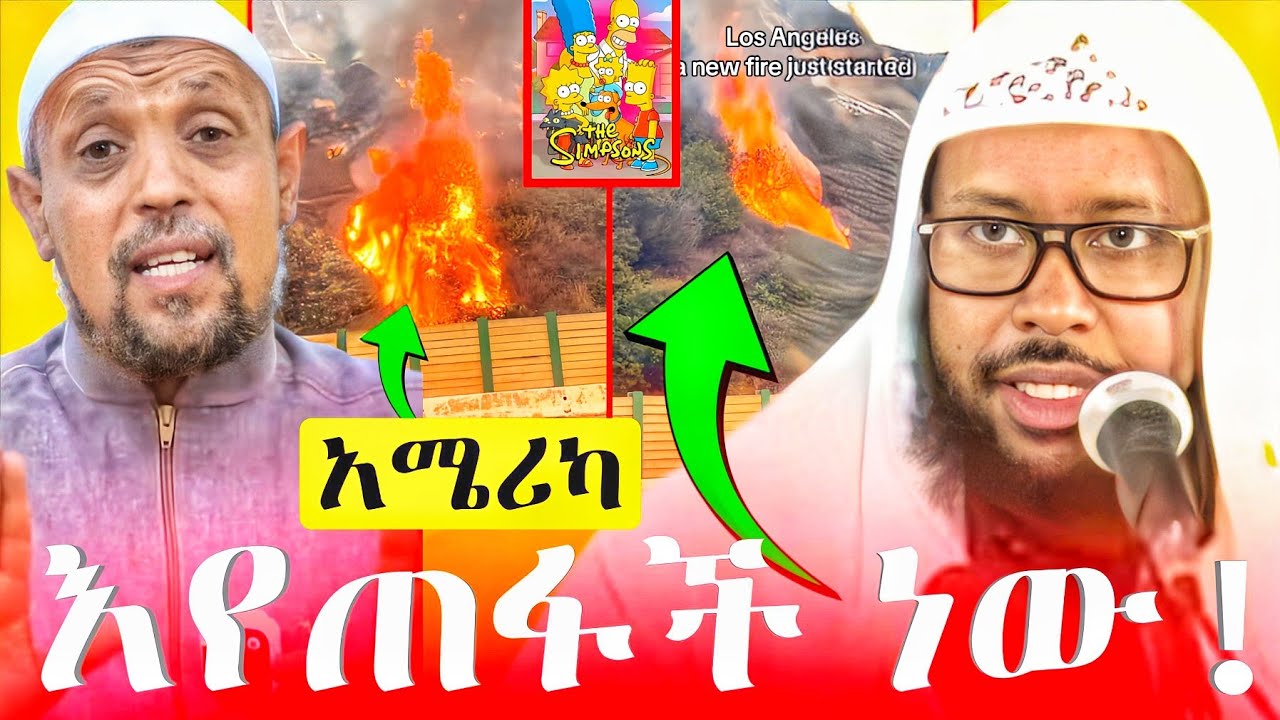አሜሪካ 