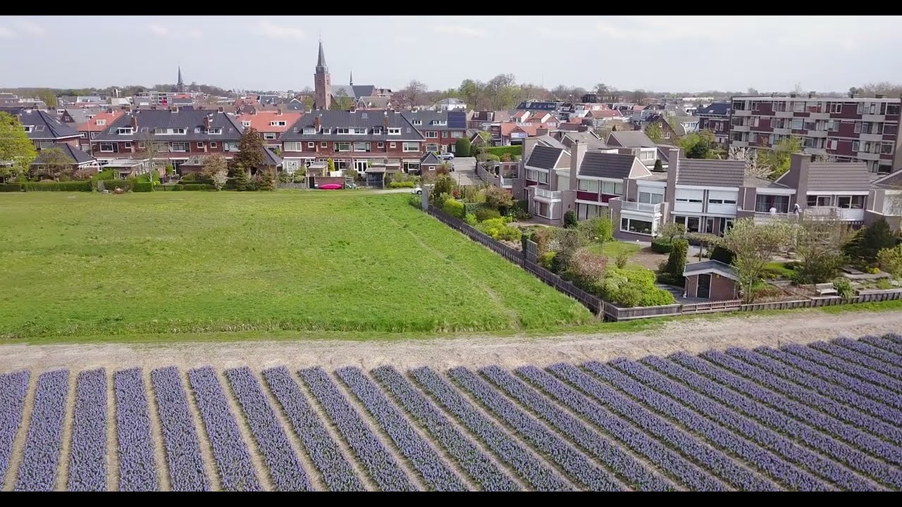 HOLLAND  2019  Hillegom
