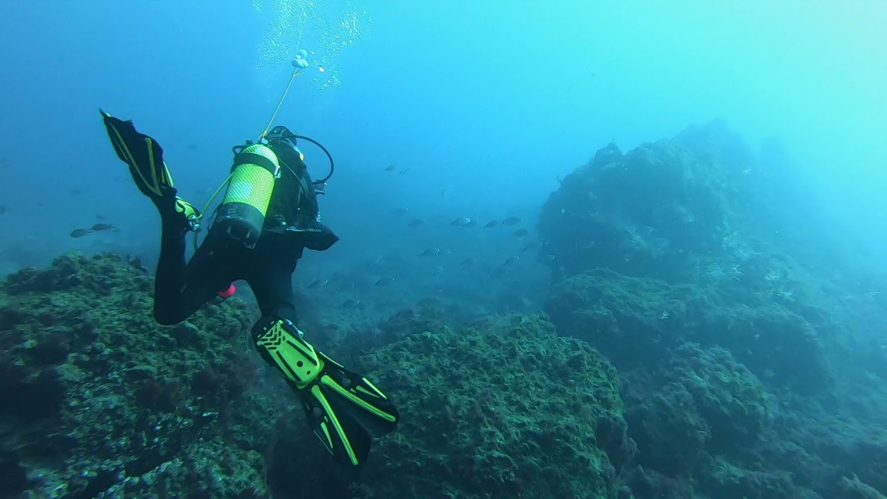 Diving Los Gigantes - Part 1