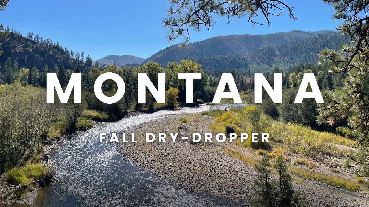 Fly Fishing in MONTANA:  Dry-Dropper Success!