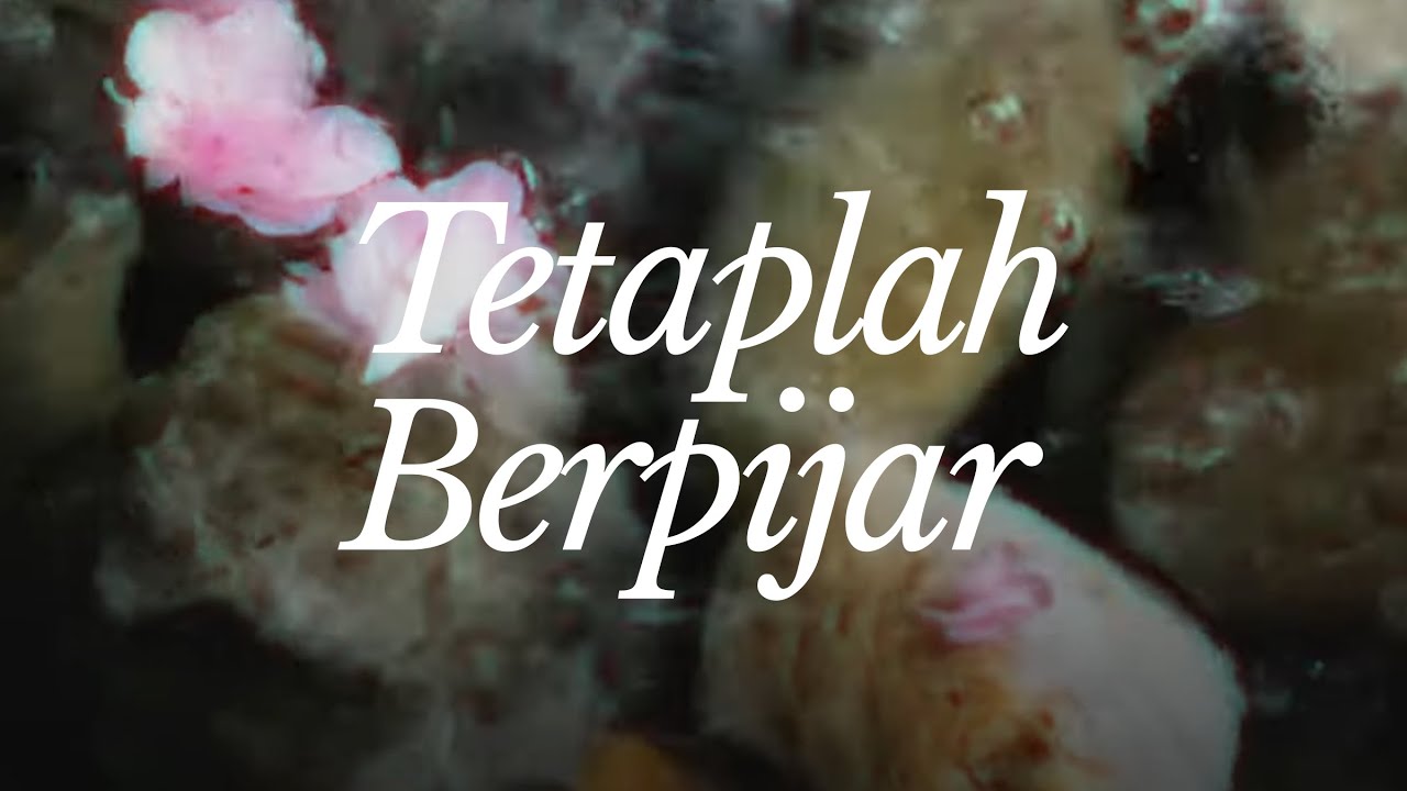 Pendarra - Tetaplah Berpijar (Official Lyric Video)