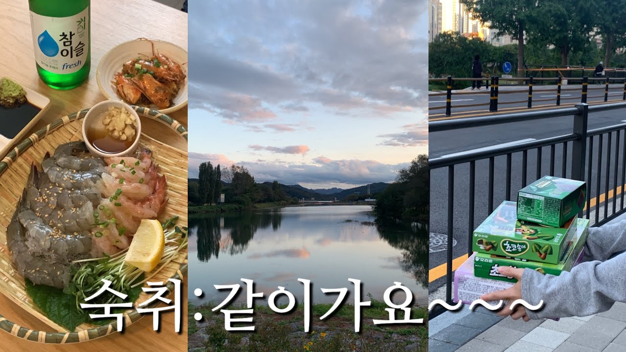 2025.10 한달 영상일기 | 가족여행, 소노벨 단양, 안동 하회마을, 가평 워케이션, 친구 결혼, 안양 정관장 농구 경기, 자라섬, 엽닭, 박뚜기, 아임도넛, 이모야킨지로