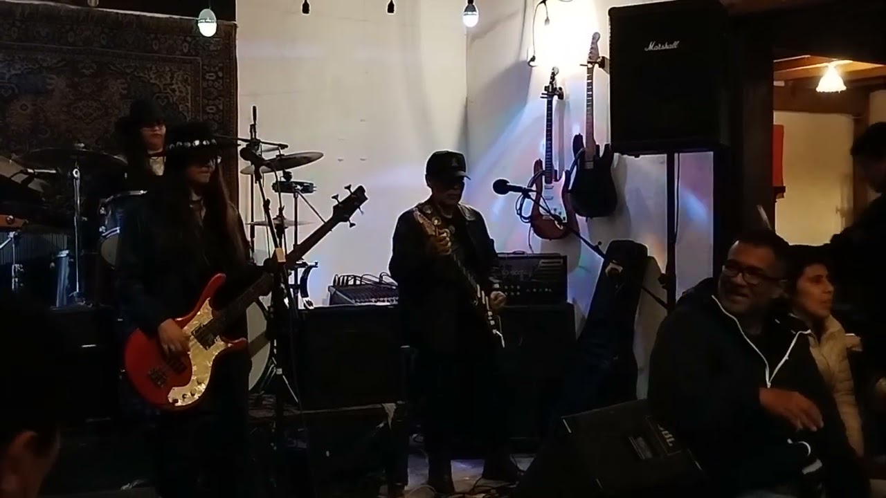 Medusa Country Rock (cover) #singer #rock #music #guitarcover #musica