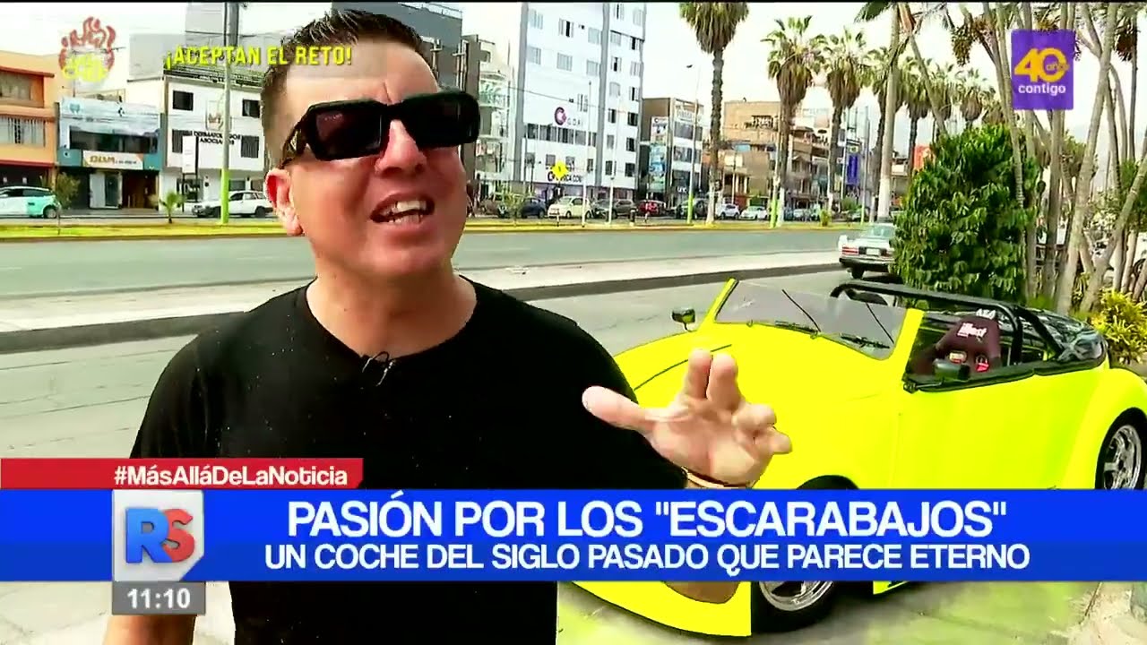 Pasión por los 'escarabajos'