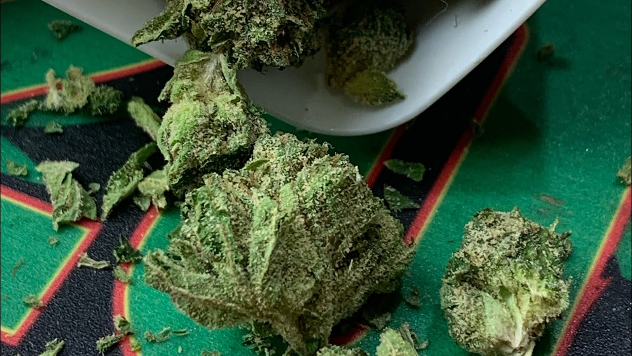 Liberty Health Sciences in Florida￼! Runtz, Purple Fluff flower review