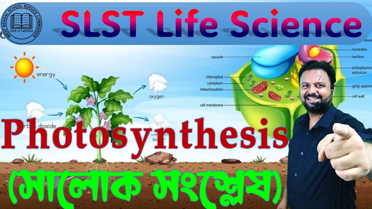 Photosynthesis(সালোক সংশ্লেষ) || Life science SLST  || By TS khan sir #slst #wbssc #lifescience