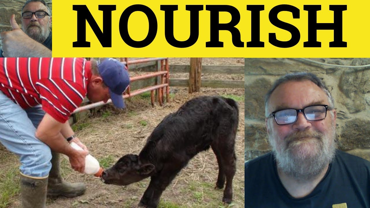 🔵 Nourish - Nourishment Meaning - Nourishing Examples - Nourish Definition - GRE Vocabulary