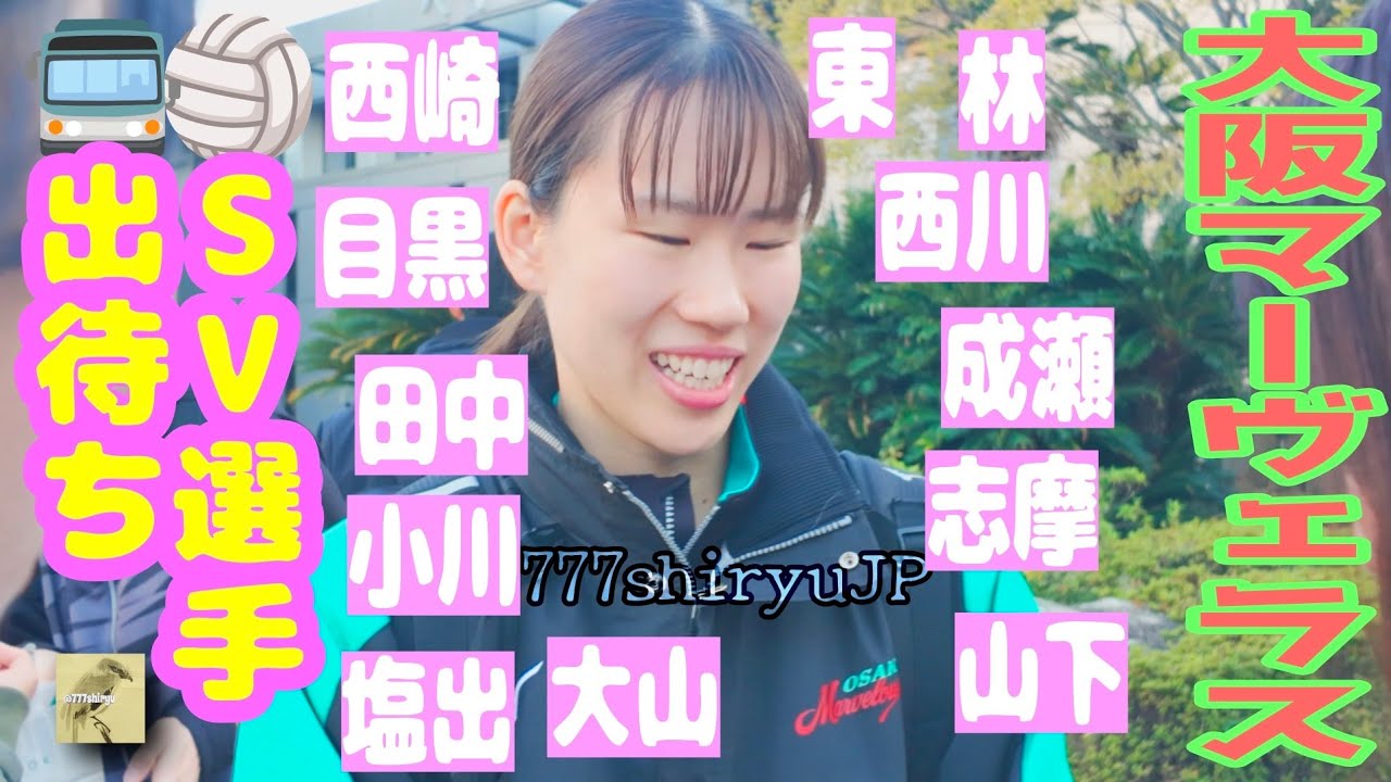 【女バレ】女子バレーボール🏐大相撲人気力士の出待ちを上回る実力トップクラス華やかな美人スター選手団⭐️首位を走る大阪マーヴェラス☀スポーツ観戦促進事業 Women's Volleyball Japan
