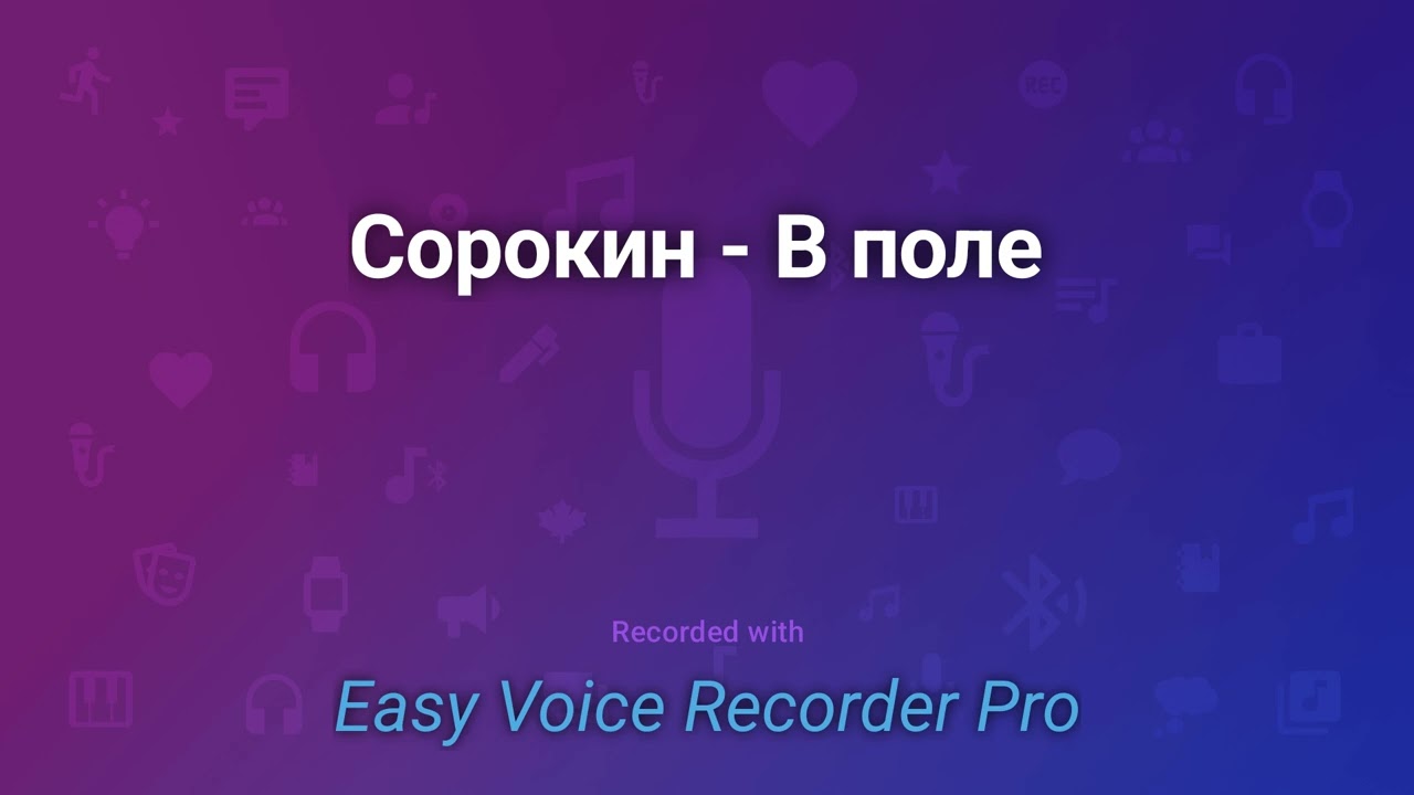 Сорокин   В поле